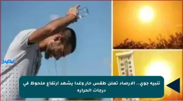 تنبيه جوي.. الأرصاد تعلن طقس حار وغدا يشهد ارتفاع ملحوظ في درجات الحرارة